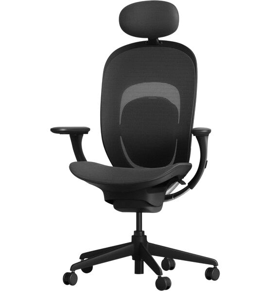 Компьютерное кресло Yuemi YMI Ergonomic Chair RTGXY01YM (Black) - 1