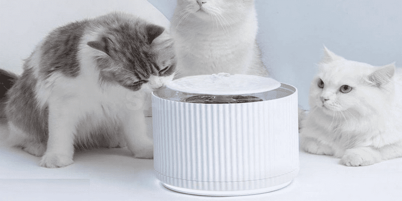 Пример использования поилки для животных Xiaomi Furrytail Smart Cat Water Dispenser