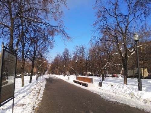 Качество фото в дневное время Качество фотографии при автоматических настройках
